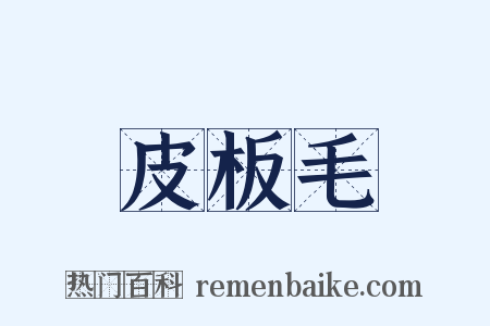 皮板毛是什么意思的图片